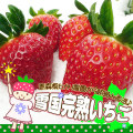 �ҥ������ࡡ������