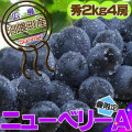 �˥塼�٥꡼��