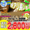 <����̵��>��Ĺ��辰���꣱�����ۥ����ե����ޡ�¶������ �Ŀ�������Ĺ����Υ辰�����о�������ܤ��̣�Ż�![���ﲹ�ء�����ľ��]