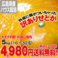������̵����ϥ����ڹ��縩�����Ȥ� ������5kg���餬�������ꥮ��ޤǲ���!�ߤ������ȥ����Ȥ��Τ�����������[���ﲹ�ء�����ľ��]