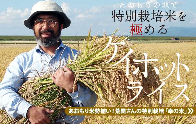 青森りんご 嶽きみ 産地直送 通販専門店 かめあし商店におまかせ